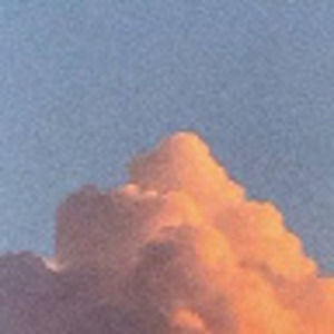 Meet your Posher, Maddie